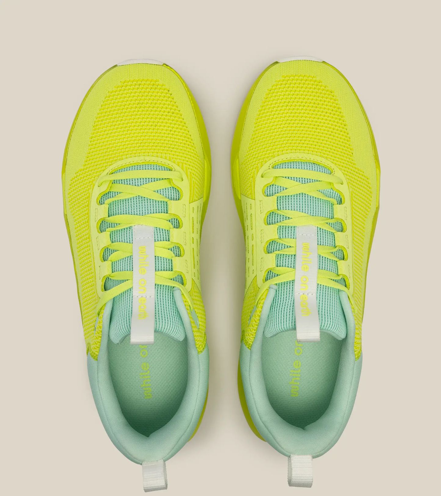 WHILE ON EARTH | Move Trainer Citrus/Sun